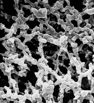 Millipore HATF02500 Immobilon-NC 圆片膜