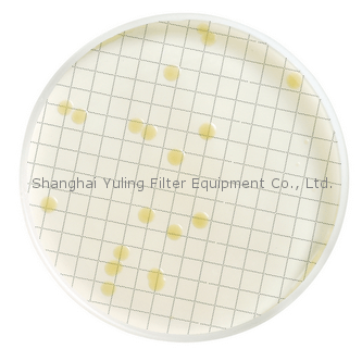 Millipore MHA000P2T 胰蛋白胨葡萄糖培养基 (TGE)