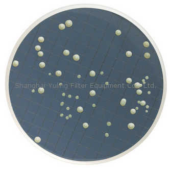 Millipore MB000000Y m-Green 酵母菌和霉菌培养基